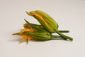 zucchini blüten