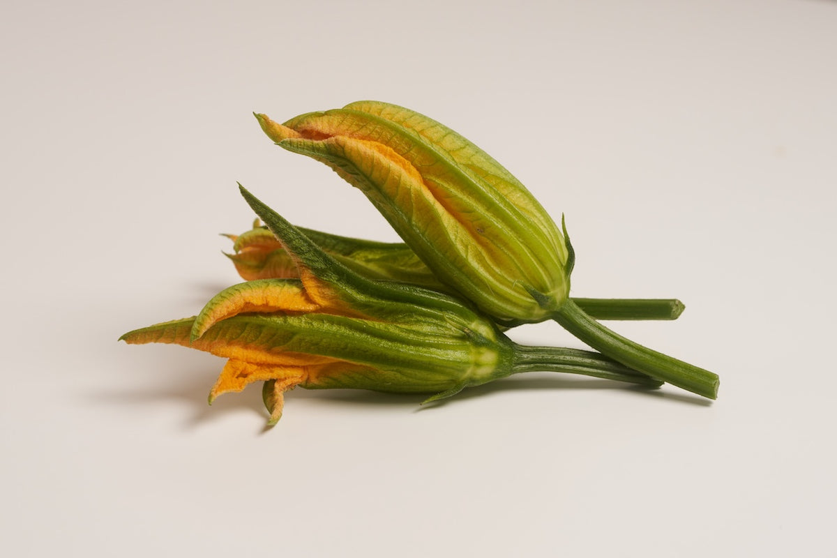 zucchini blüten