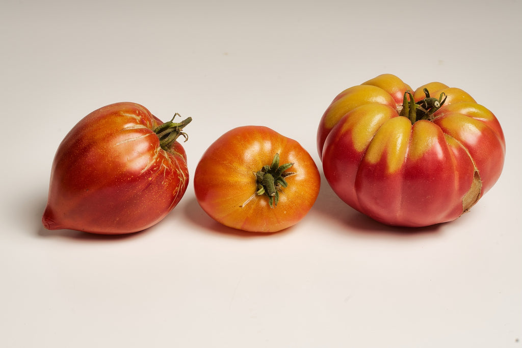 eine riesen tomate