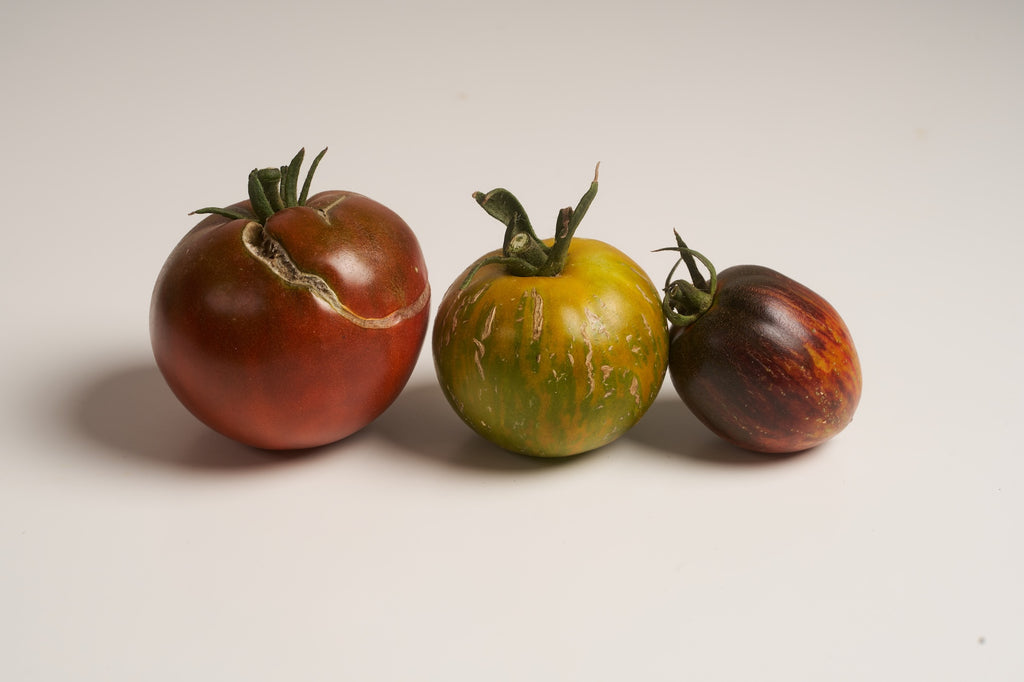 eine riesen tomate