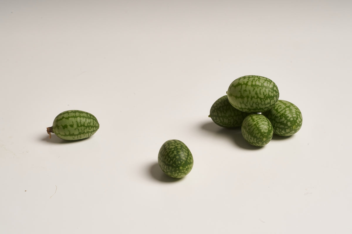 melonen gurke