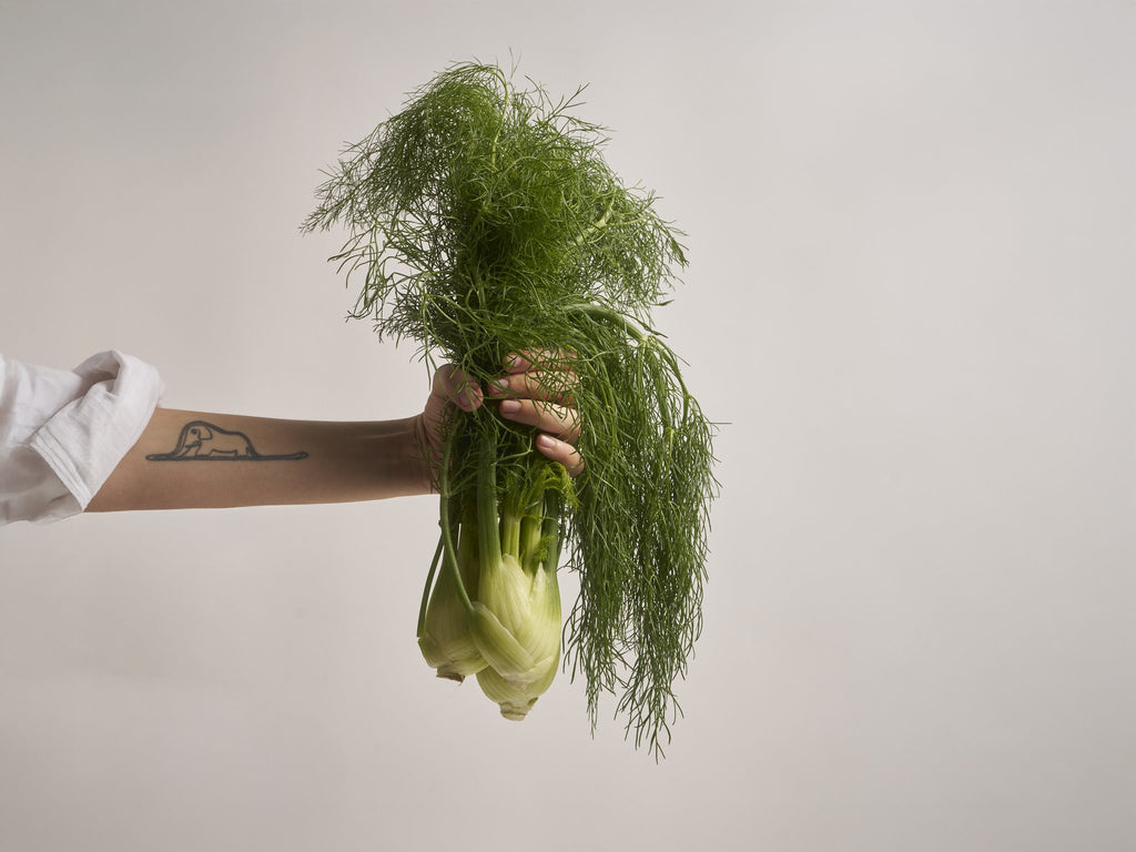 baby fenchel (mit grün)