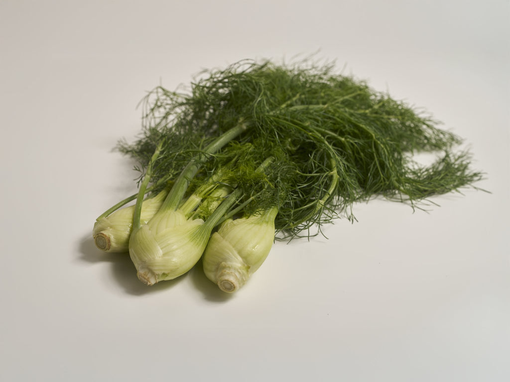 baby fenchel (mit grün)