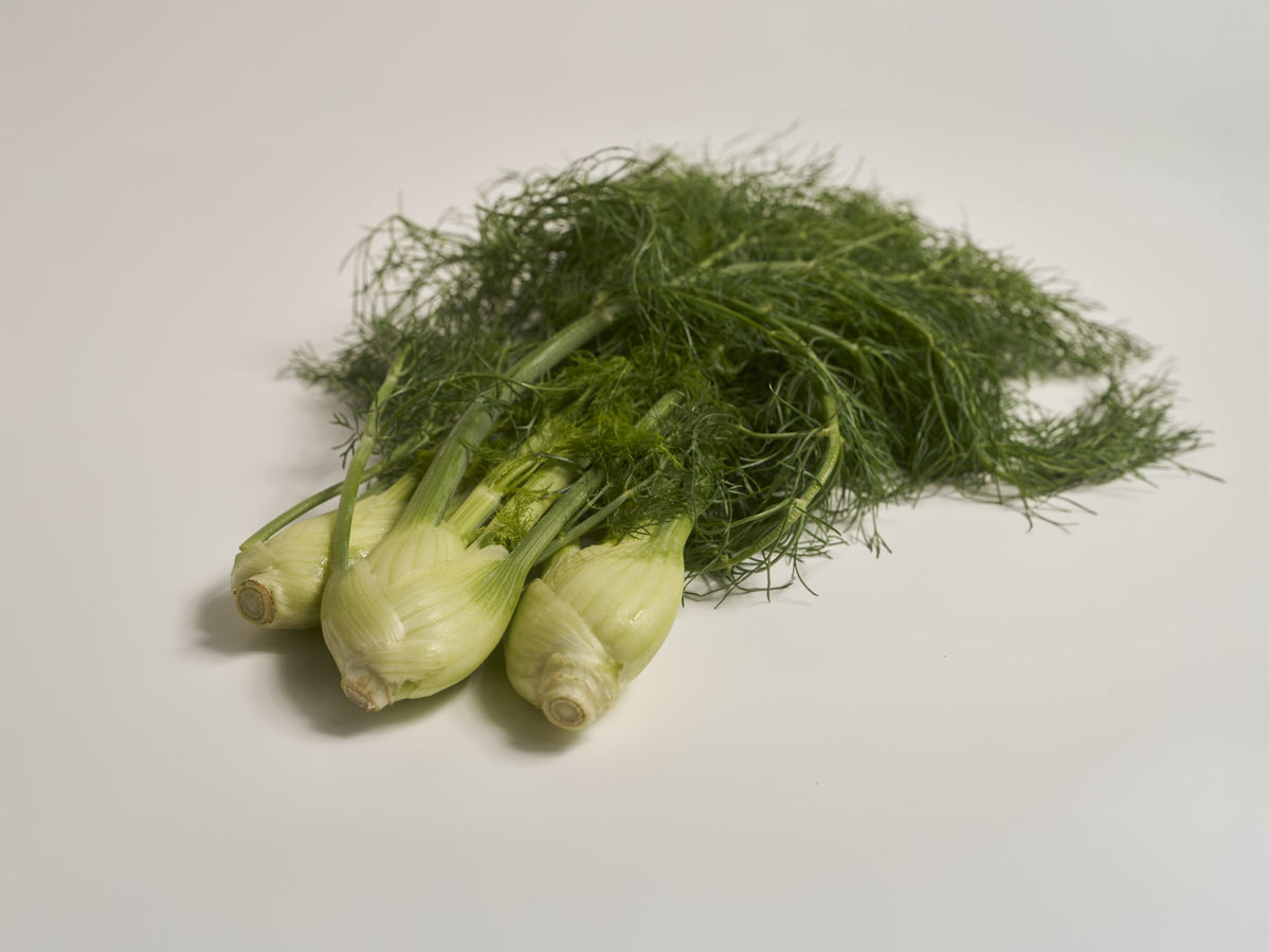 baby fenchel (mit grün)