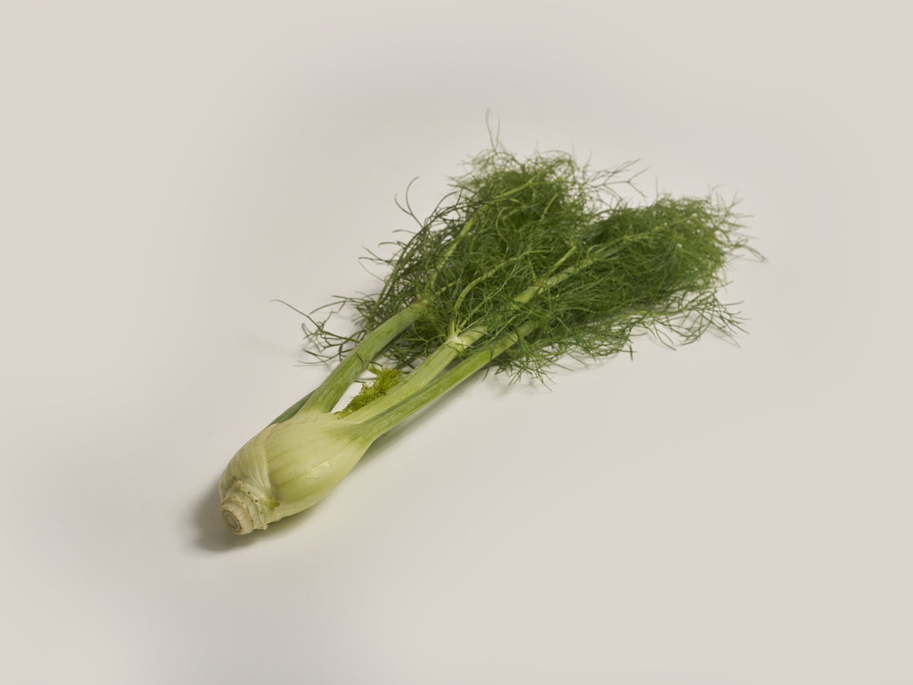 baby fenchel (mit grün)