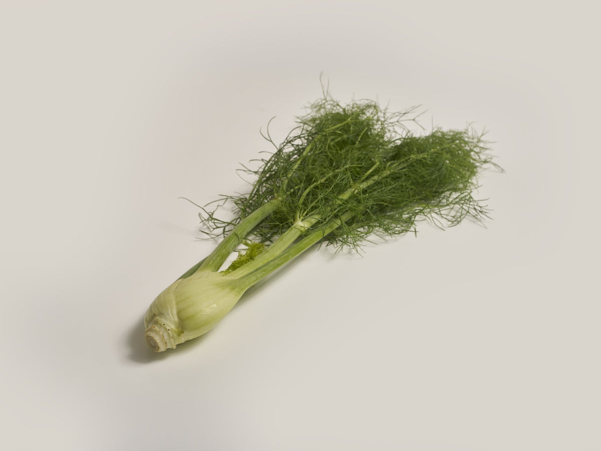 baby fenchel (mit grün)