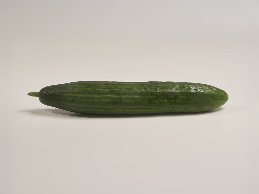 schlangen gurke