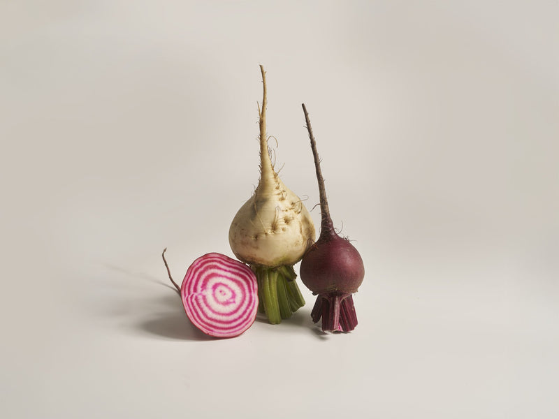 bunte beete