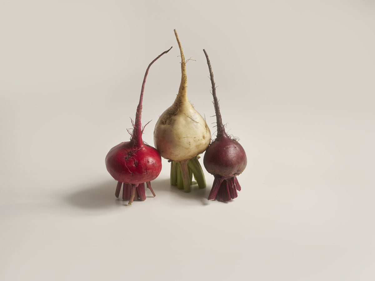 bunte beete