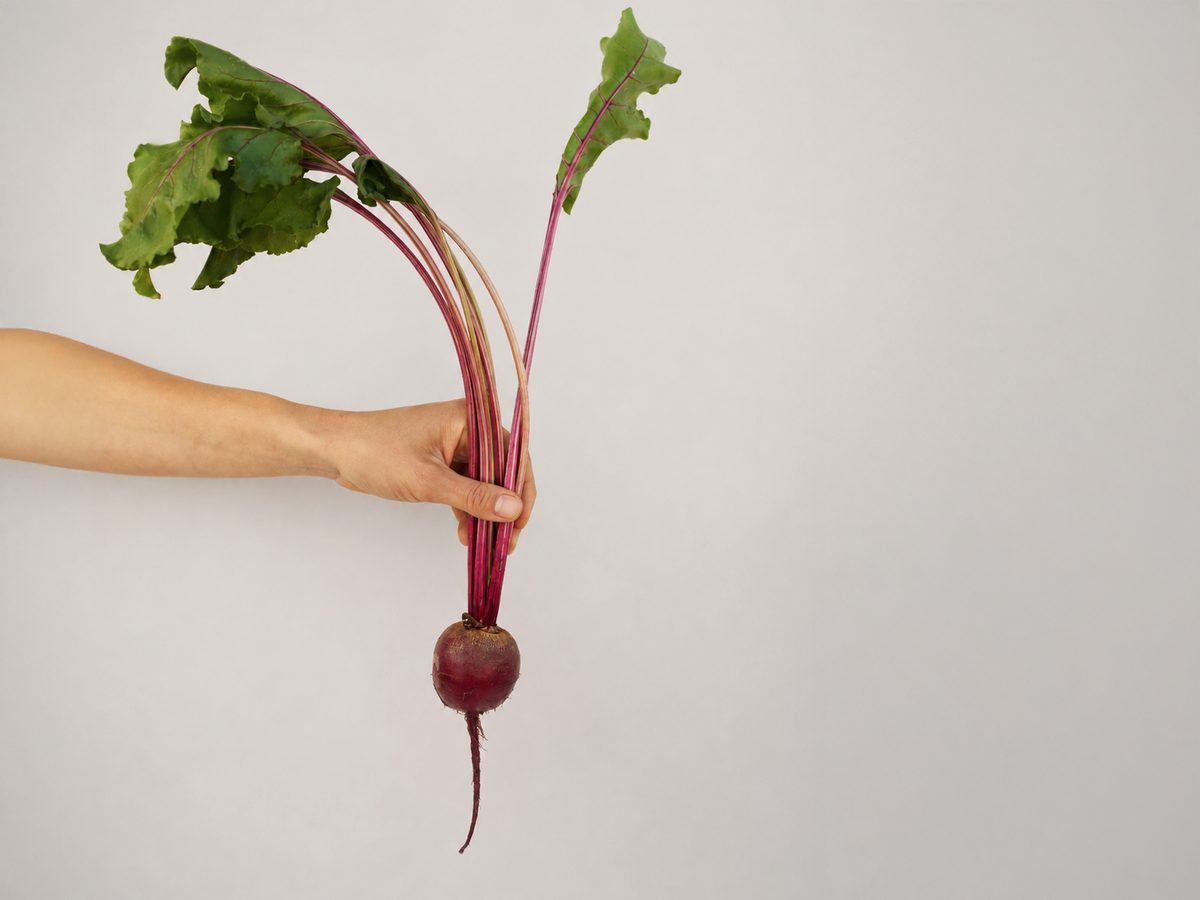 rote beete