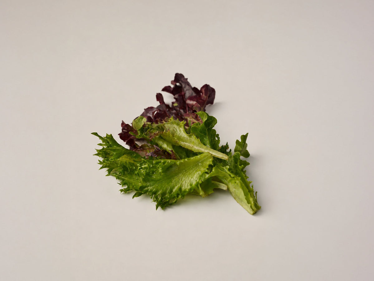 baby leaf salat mix
