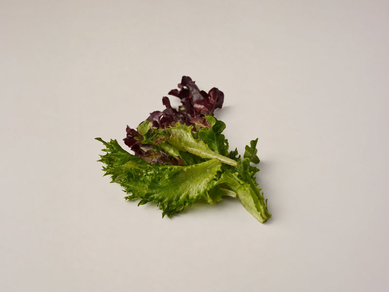 baby leaf salat mix