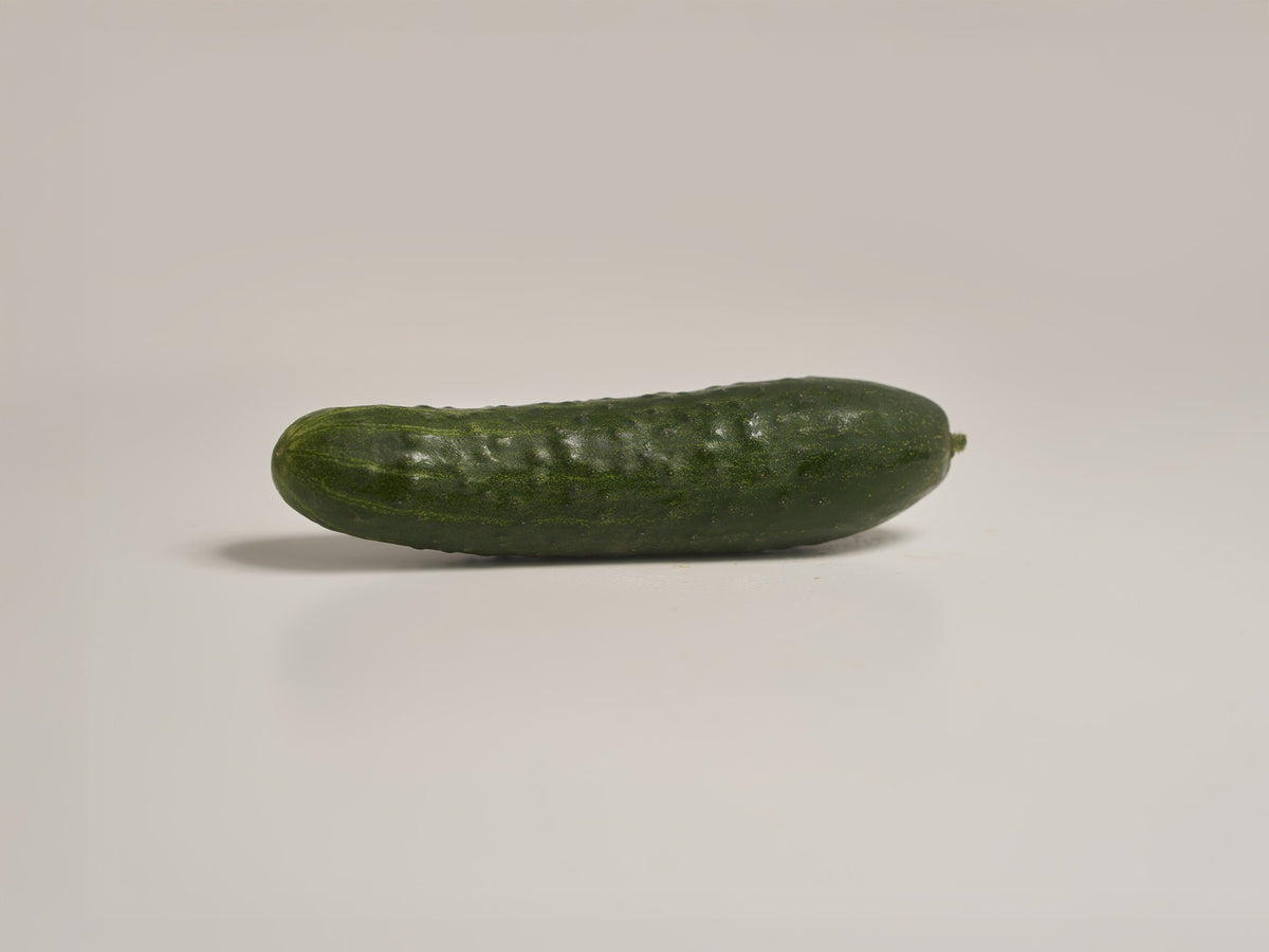 land gurke
