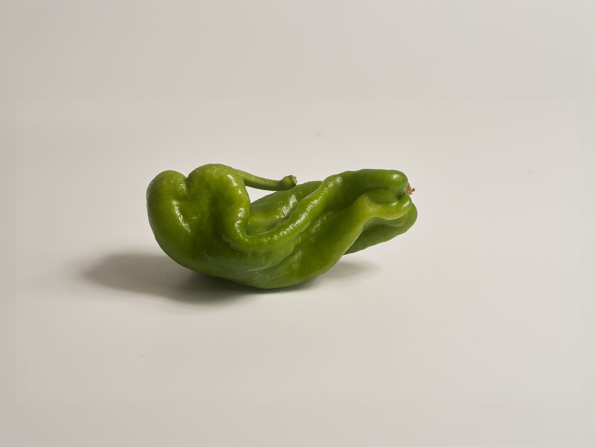 grüne spitz paprika
