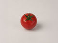 temptation tomate