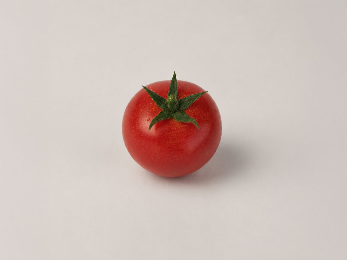 temptation tomate