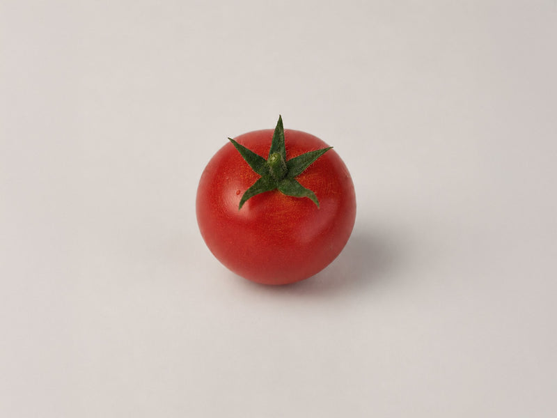 temptation tomate