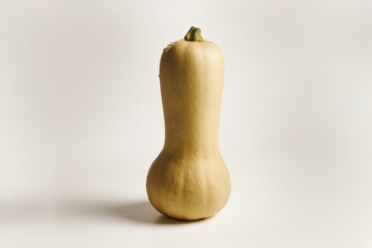 butternut kürbis