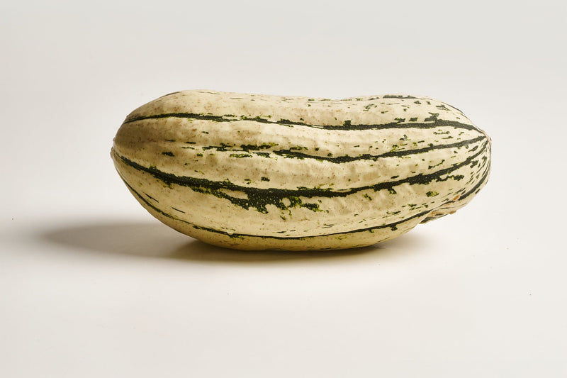 delicata kürbis