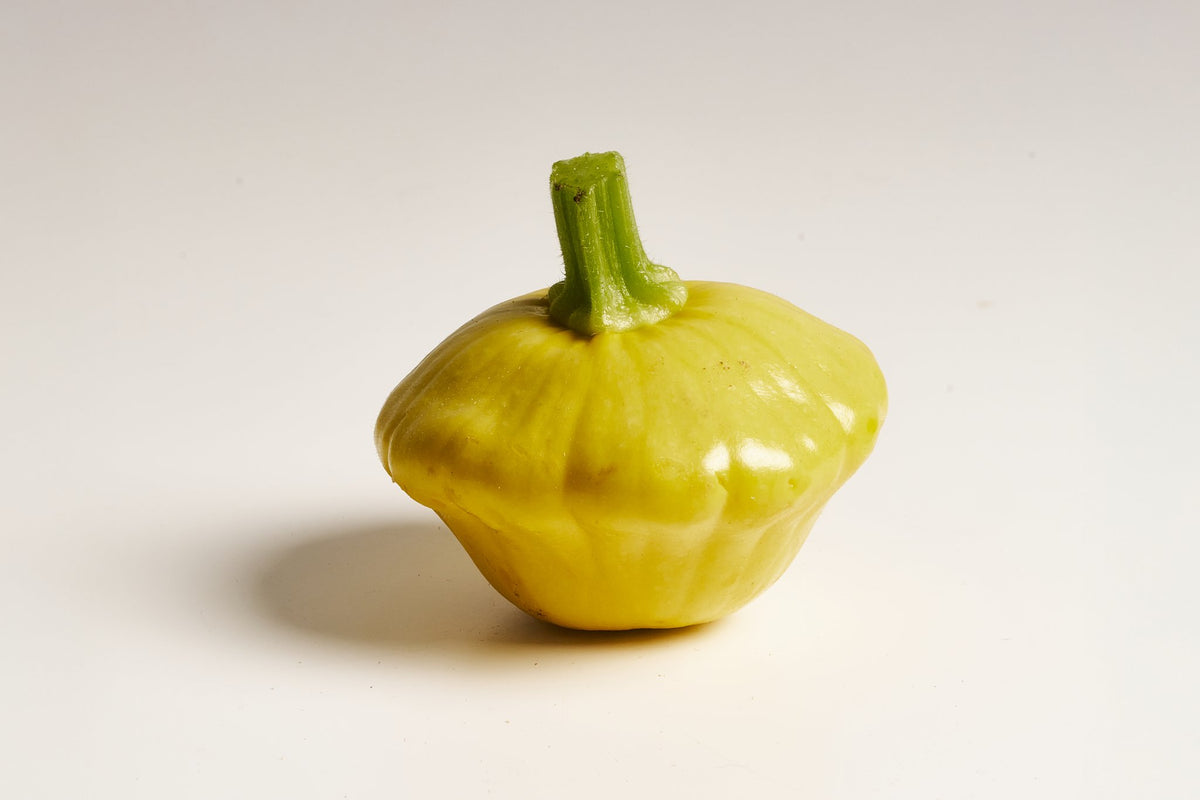 gelber patisson kürbis