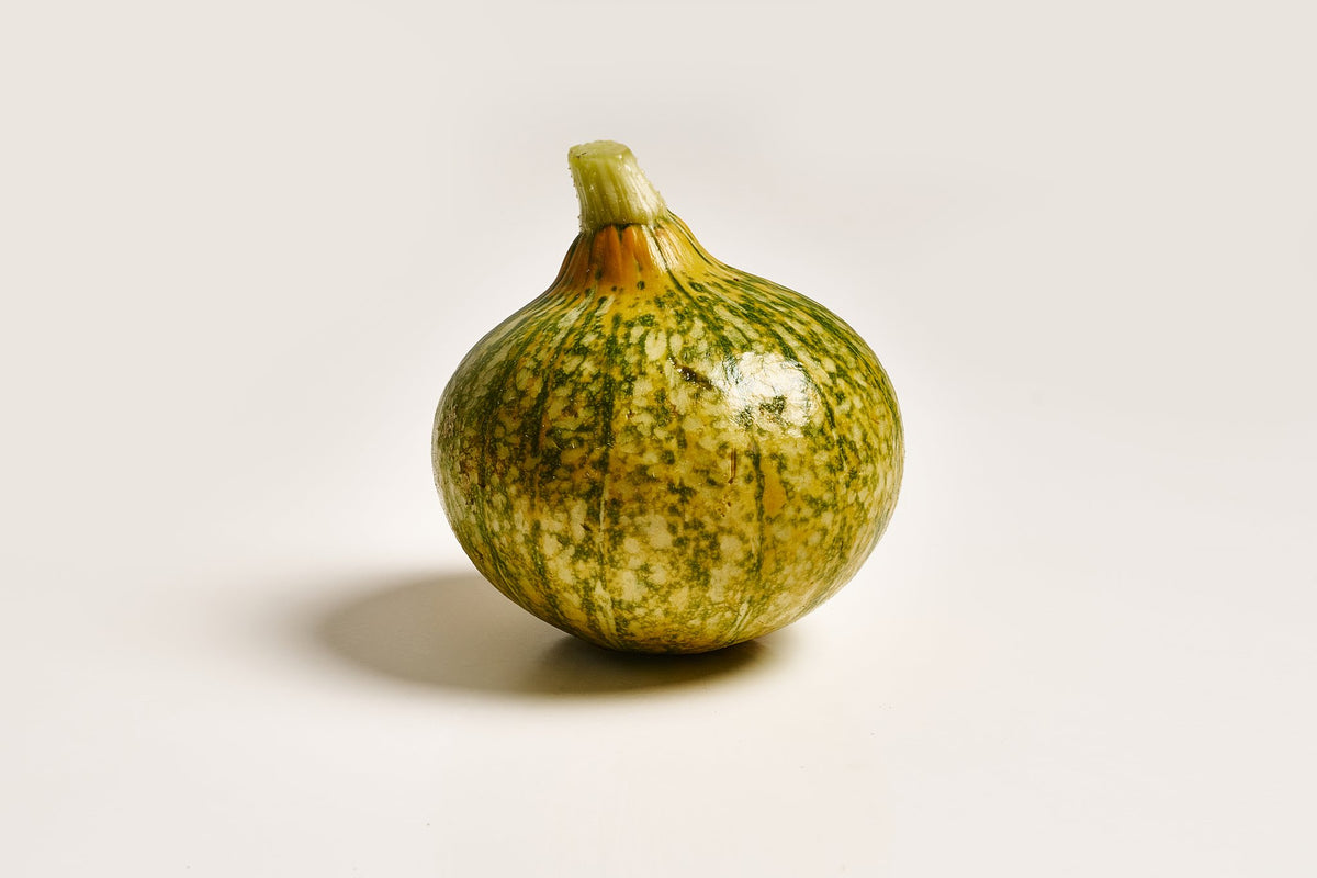 grüner hokkaido kürbis