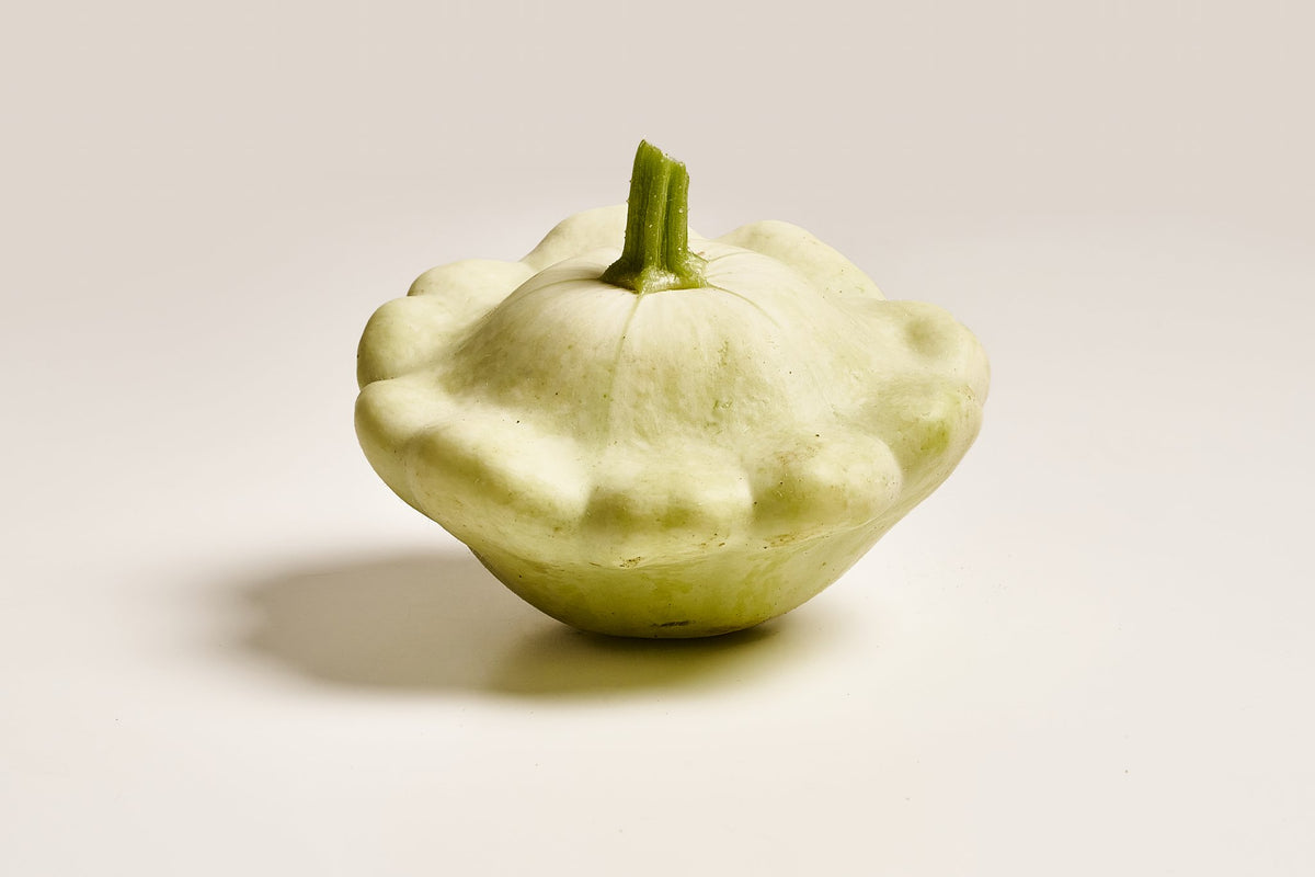 weißer patisson kürbis
